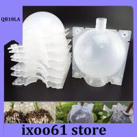 ixoo61 store 8cm Plant Rooting Grow Box Breeding Case 5pcs High Pressure Gardening Plant Root Device Ball for Garden Grafting