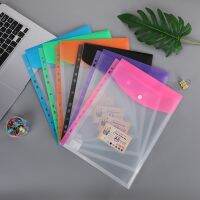 12PCS Plastic Wallets A4 Punched Pockets Expandable File Folders Document Popper Button Closure and Label School Office Home