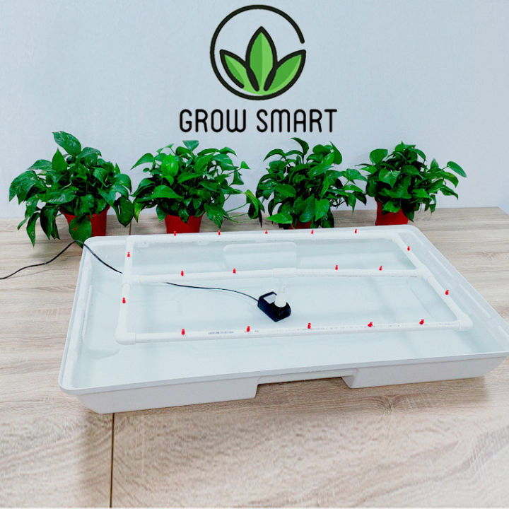 grow-smart-ezclone-pro-80-128-sites-ถาดปักชำอัตโนมัติ-ครบชุดพร้อมใช้งาน-รากงอก100-aeroponic-system-cloning-machine-ez-clone-plant-propagation