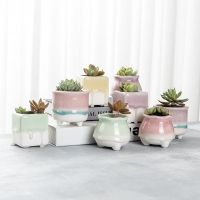 Nordic Style Flow Glaze Ceramic Flowerpot Succulent Cactus Plants Small Bonsai Pot Home Garden Decor Mini Succulent Plant Pots