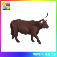 ? Genuine and exquisite model Animal Planet Scottish highland cow (female) simulation farm poultry animal model toy 387199