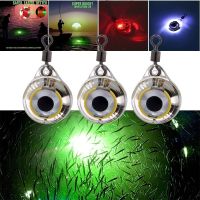 MARV LED Fishing Lure Night Light Battery Powered Glow Underwater Attracting Fish Lamp Fishing Bait