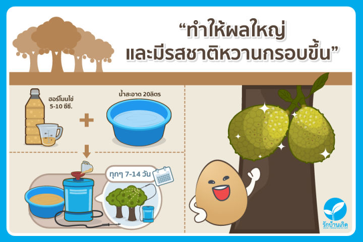 ฮอร์โมนไข่-สูตรเข้มข้นพิเศษ-แตกต่างไม่เหมือนใคร-แก้ปัญหาต้นโทรม-ช่วยเร่งการเจริญเติบโต-เร่งดอก-เร่งดก-เพิ่มผลผลิต-ช่วยให้พืชแข็งแรง-ต้านทานโรค-ขวดใหญ่-1-5-ลิตร-ส่งฟรีเคอรี่