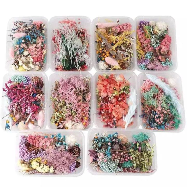 dried flower in a tub DRIED FLOWER BAZAAR | Lazada PH