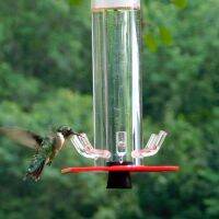 เครื่องป้อนนกสำหรับสัตว์เลี้ยง เครื่องจ่ายอาหารสัตว์เลี้ยง Outdoor Hanging Multipore Bird Feeder