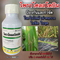 ไพราโคลสโตรบิน25% 500ซีซี เก่งโรคใบไหม้ข้าว คอรวงเน่า ใบจุด ใบขีด เน่าคอรวง เมล็ดเต่ง ผิวเหลือสวย ขายได้ราคา ใช้แทนอามูเร่ ดูดซึม