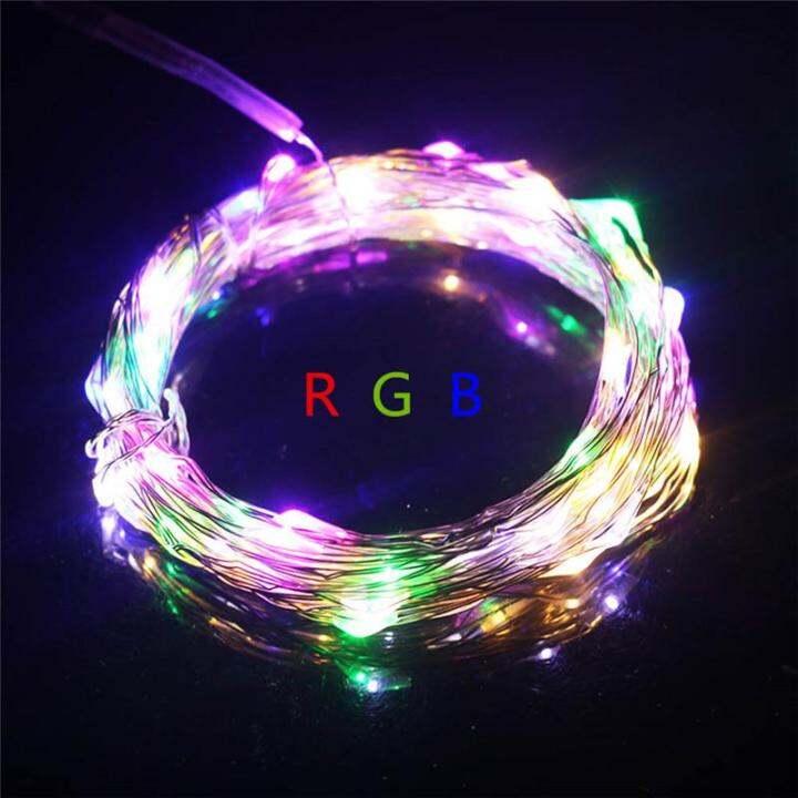 high-quality-wangshenghui-ไฟราวแอลอีดีลวดทองแดง33ft-10m-ไฟ-led-100สีฟ้าขาวแบบอบอุ่น-led-สำหรับอุปกรณ์ตกแต่งปาร์ตี้งานแต่งงาน-dc-12v