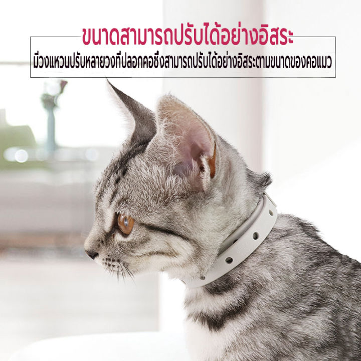 ปลอกคอกันเห็บ-ปลอกคอกันเห็บหมัด-ปลอกคอกำจัดเห็บหมัด-ป้องกันได้ยาวนาน-ปลอกคอสัตว์เลี้ยง-ปลอดภัย-ปลอกคอแมว-ปลอกคอสุนัข-pet-anti-flea-and-ticks-collar