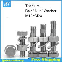 TA2 Pure Titanium Hex Bolt Metric Thread Hexagon Screw Nut Gasket Set Complete Spring Pad Combination M12 M14 M16 M18 M20