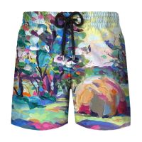 Mens Swimwear Retro Hip Hop Style 3d Surfing Board Short Kids Beach Shorts Men Trunks Masculina Swimsuit Sports Pants Briefs