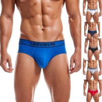 Sexy Men Underwear Briefs Cuecas Calzoncillos Slip Gay Underwear U Convex Pouch Breathable Cotton Male Panties Shorts