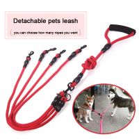 Pet Dog Leash Nylon Rope Double Dual Two Heads Dogs Leash 2 Way Coupler Walk Two and More Dogs Collars Harness Leads Dog Leashes