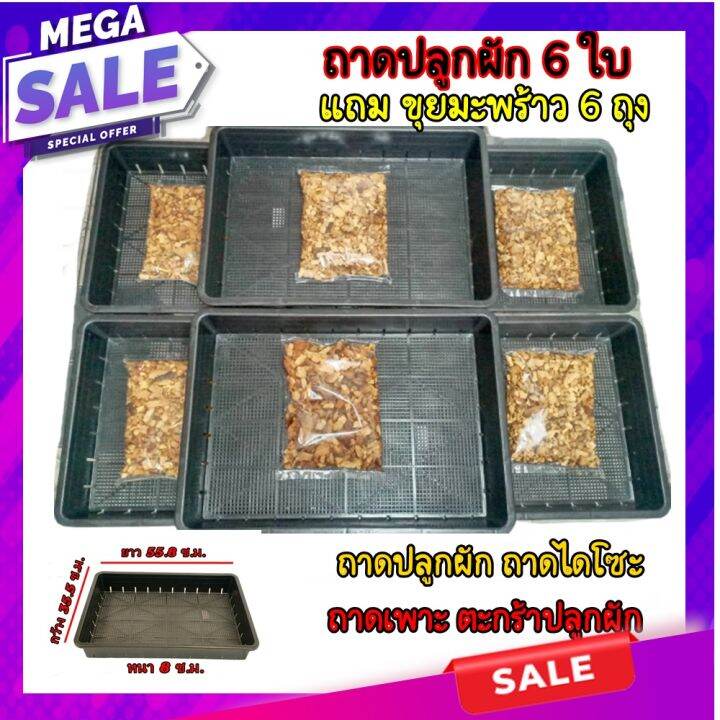 ถาดปลูกผัก-6-ใบ-แถมฟรี-ขุยมะพร้าว-6-ถุง-ถาดเพาะต้นอ่อน-เพาะเมล็ด-ถาดอเนกประสงค์-ไว้ปลูกผักสวนครัว-ใช้เพาะแคนตัส-พื้นที่น้อย