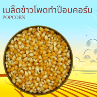 เมล็ดข้าวโพดสำหรับทำป๊อบคอร์น 500 กรัม Popcorn 500 g