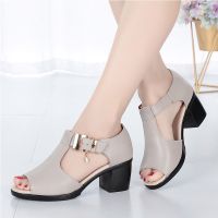 New fish mouth fashion casual thick heel buckle large sandals sandal kasut selipar murah cantik women shoes new design shoe