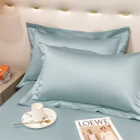 Pillowcases Egyptian Cotton High quality Wide side pillow cover 2 pieces Rich color Hotel style Pillowcase 800TC 48*74 70*70cm