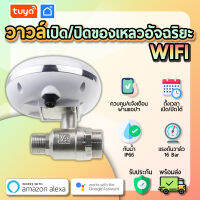 tuya วาวล์ควบคุมการเปิด/ปิดของเหลว (WiFi) VLV02