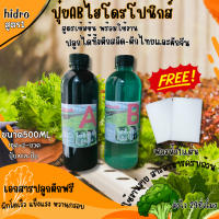 ปุ๋ยAB+โฟมน้ำ ขนาด500มิลลิลิตร A+B เพียงแค่ 79 บาท ปลูกผักสลัด ไฮโดรโปนิกส์ AB คุณภาพดี คุ้มราคา (Super AB99)