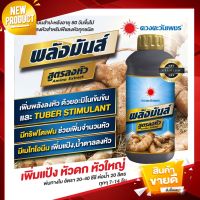 NEW ฮอร์โมนสำหรับพืชลงหัว ขนาด 1 ลิตร พลังมันส์ เร่งหัวใหญ่ สำหรับมันสำปะหลังและพืชช่วงลงหัว