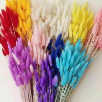 50PCS 40cm Colorful Natural Dried Flowers Rabbit Tail Grass Bunny Tails Dried Flowers Lagurus Ovatus Plant Home Wedding Decor