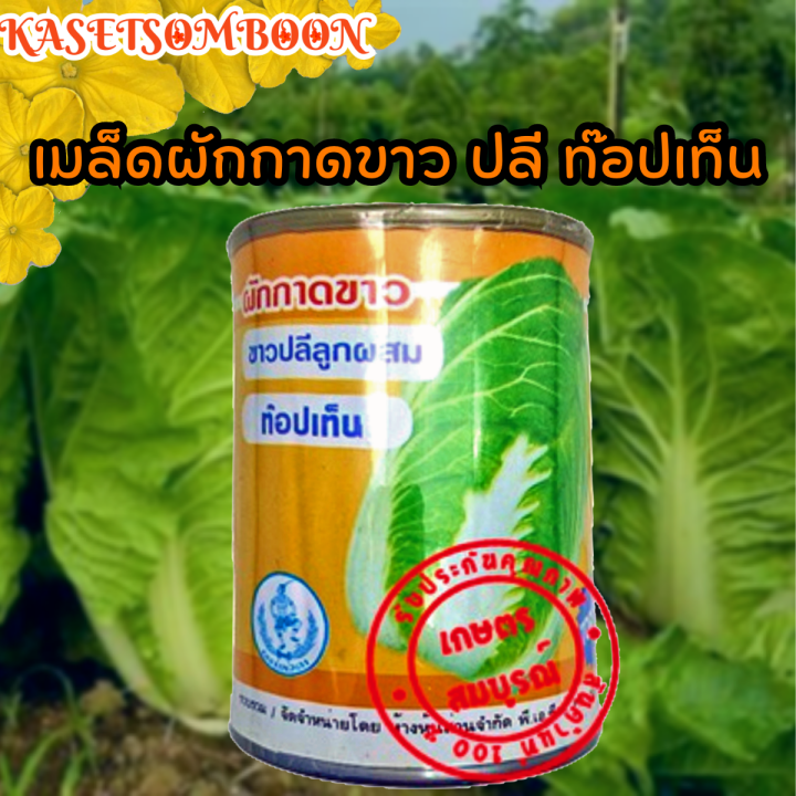 เมล็ดผักกาดขาว-ปลี-ท๊อปเท็น-เมล็ดพันธุ์-100-ก-ตราเทวดา