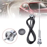 Universal 1pc Car Roof Fender Booster Antenna FM AM Radio Aerial Extended Spring Soft Rod 76-108MHz