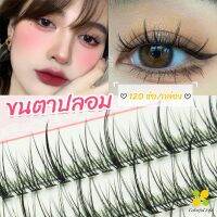 CLM ขนตาปลอม ขนตาปลอมแต่งหน้ามืออาชีพ 120 ช่อ ช่อคนตาเทรนสาวเวียดนาม  Little devil false eyelashes