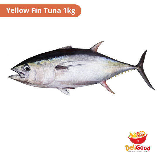 Yellow Fin Tuna 1kg | Lazada PH