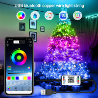 USB Bluetooth LED String Lights Garland Street Fairy Lights Outdoor IP67 For 2021 Christmas New Year Tree Wedding Room Decor