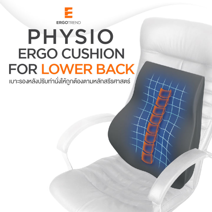 ergotrend-เซ็ตคู่-เบาะรองหลังเพื่อสุขภาพ-สำหรับคนปวดหลังล่าง-physio-ergo-lower-back-physio-ergo-seat-cushion