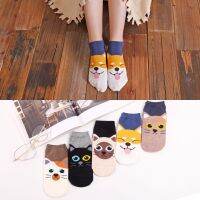 （A Beautiful） Happy SocksCartoon Shiba Inu CatCute CottonHighInvisible SocksLow Cut