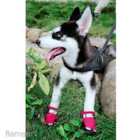 Waterproof Dog Puppy Boots Breathable Snow Shoes Great for Medium Large Dogs