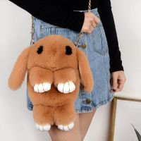 Cute Plush Rabbit Single Shoulder Bag Crossbody Bags Japanese Bunny Stuffed Rabbit Toy Children School Backpack Kids Gift Toys