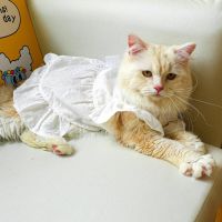 Lovely Puppy Wedding Dress Skirt Wedding Dress Ruffle Outfit Princess Skirt Spring Summer Costumes Pet Outfit 87HA Dresses