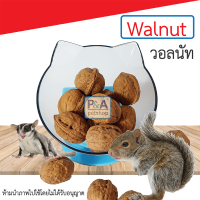 Walnut วอลนัท ลูกวอลนัท [สำหรับนกแก้ว สัตว์เลี้ยงฟันแทะ หนูแฮมสเตอร์ กระรอก] ลูกละ 8 ฿ / Size S