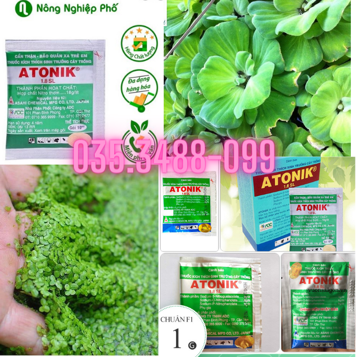 AntoNik Kích Ra rễ cực mạnh Xanh Lá Cây Phát TRiển mạnh Bèo Rau Cải