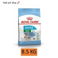 Royal Canin Mini Starter 8.5 KG สุนัข แม่สุนัข พันธุ์เล็ก ตั้งท้อง 6 สัปดาห์ขึ้นไป - ให้นม ลูกสุนัขหย่านม 1 - 2 เดือน อาหารแม่สุนัข อาหารลูกสุนัข Babydog Baby Dog