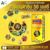 คาร์เบนดาซิม - (carbendazim) 50% - สูตรเย็น สารป้องกันกำจัดโรคพืช โรคใบไหม้,โรคกาบใบแห้ง โรคใบจุดสีน้ำตาล โรคราแป้ง (ขนาด 1 ลิตร) : AJANTA CORP