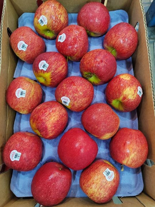แอปเปิ้ลเอนวี-นิวซีแลนด์-เบอร์-m-ชุด-5-ลูก-apple-envy-new-zealand