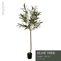 Olive Tree - Height 158 cm ต้นมะกอก ความสูง 155 ซม.ต้นไม้ปลอมเกรดพรีเมี่ยมเพื่อการตกแต่ง ต้นไม้ประดิษฐ์ตกแต่งบ้าน คอนโด