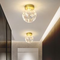 ZZOOI LED ceiling lamp For Corridor aisle entrance door ceiling lamp Room Bedroom  lamp simple Gypsophila Luster night light fixture