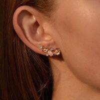 [COD] Cross-border Hot Sale Artificial Small Earrings Temperament