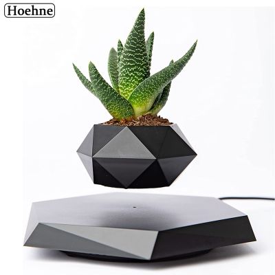 Floating Plant Pot Levitating Plant Pot for Succulents air Bonsai Plants Floating Planter for Home Office Desk Levitating Decor