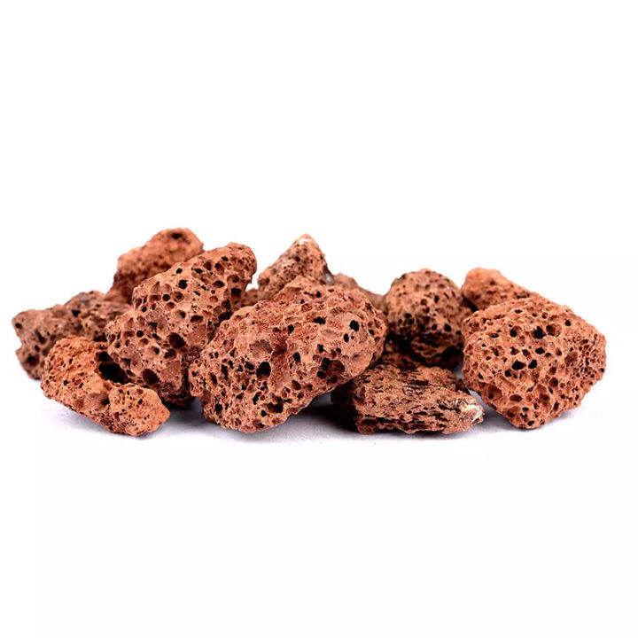 Lava Rock Aquarium Filter Material Aquarium Filter Media 500g Lazada PH