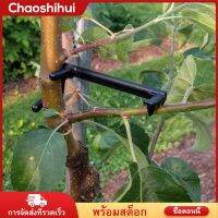 Chaoshihui 50pcs branch limb spreaders ต้นไม้กิ่งไม้ผลไม้ผลไม้รูปแบบคลิปสาขา