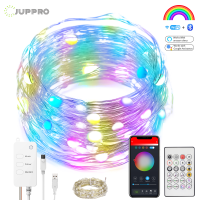 WiFi Fairy Lights Festoon LED String Light Smart Garland RGB LED Party Light For House Wedding Decoration Work with Alexa Google