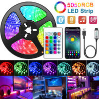 Self-adhesive Led Strip USB Bluetooth 5050 RGB Infrared Control LED Tape Flexible Ribbon 5V Diode Backlight Desktop Light