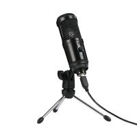 Usb Condenser Microphone 192Khz/24Bit High Sampling Rate Desktop Stand Computer Recording Condenser Microphone Set