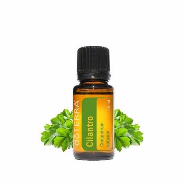 น้ำมันผักชี-น้ำมันสกัดจากใบผักชี-น้ำมันหอมระเหย-cilantro-essential-oil-น้ำมันหอมระเหยผักชี-ผักชี