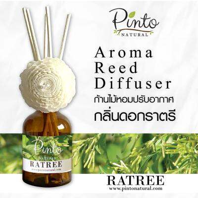 Pinto Natural Aromatic Reed Diffuser ก้านไม้หอมปรับอากาศ กลิ่นดอกราตรี Night Blooming Jasmine